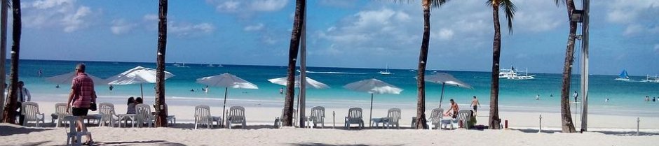 palmbomen strand